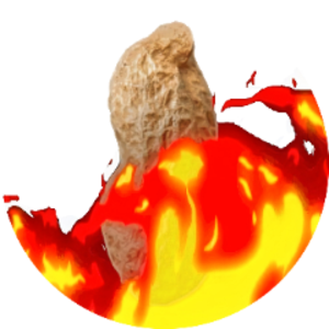 TheBurntPeanut