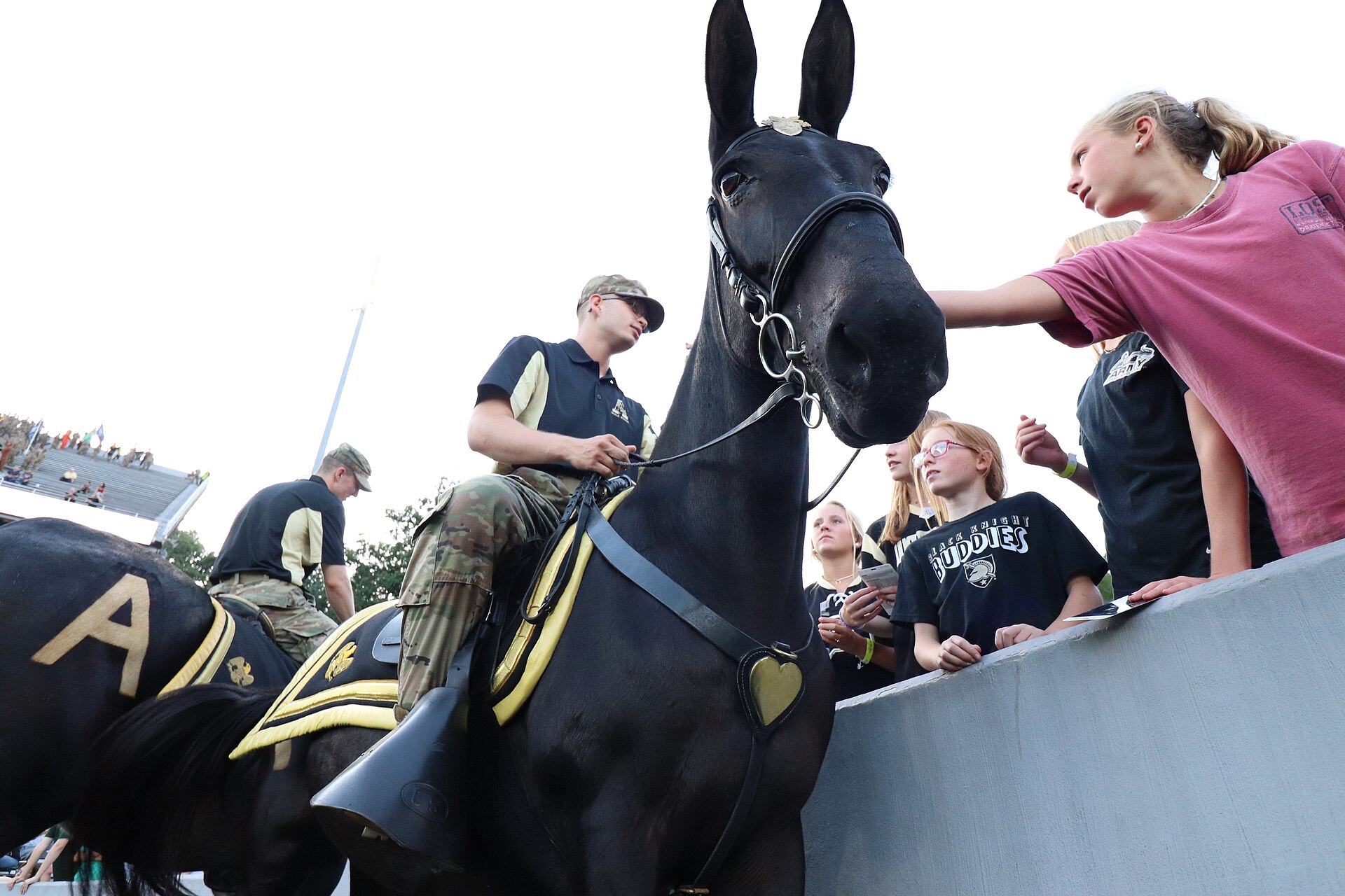 Michie Stadium at West Point, New York, home of Army football