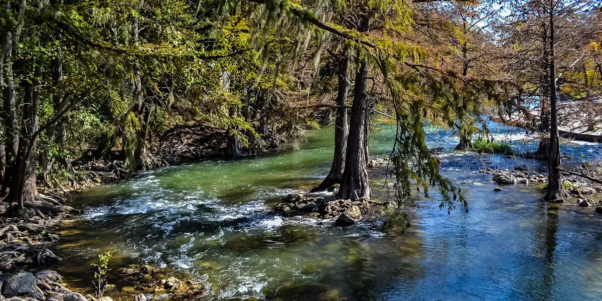 The Guadalupe River flowing through cypress trees in the Texas Hill Country.