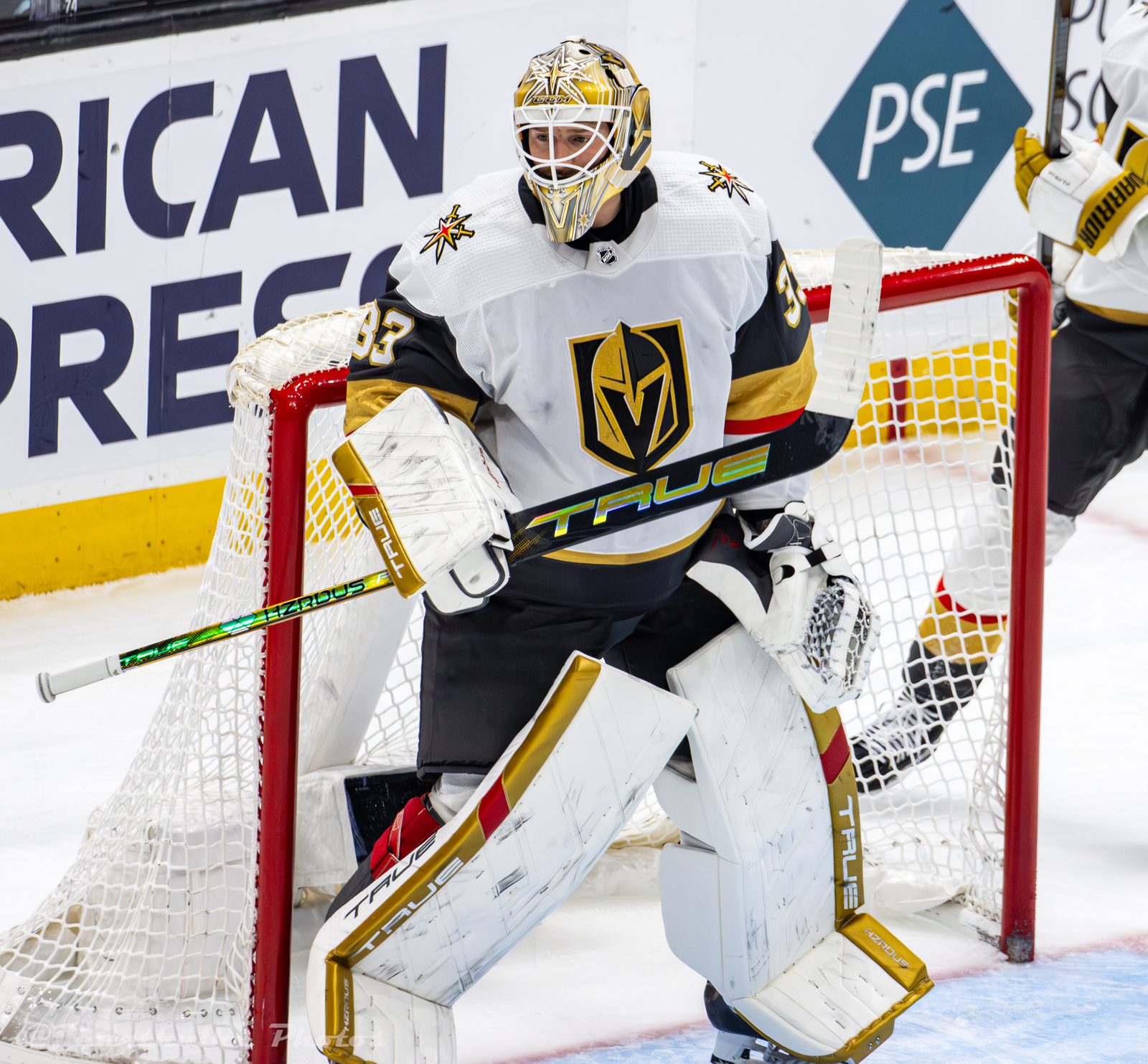 Vegas Golden Knights goaltender Adin Hill (33) in the crease.