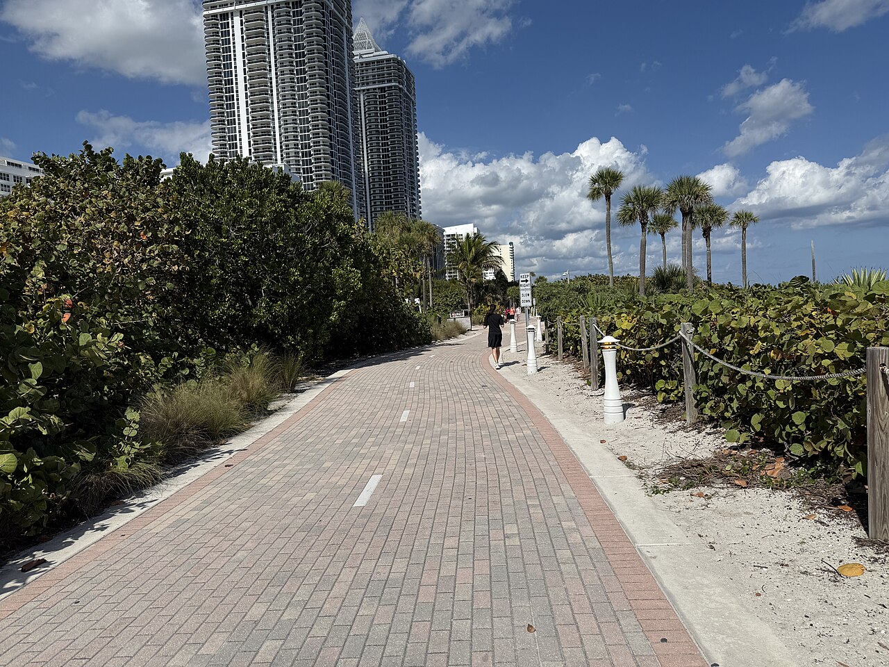 Miami Beach panorama