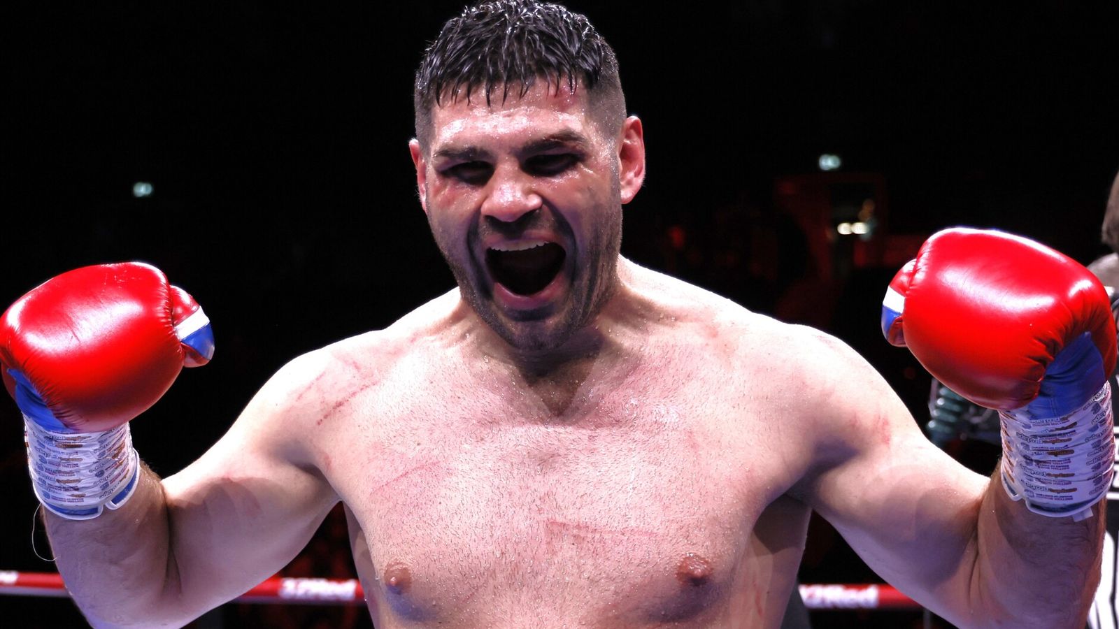 IBF heavyweight champion Filip Hrgovic during a fight.