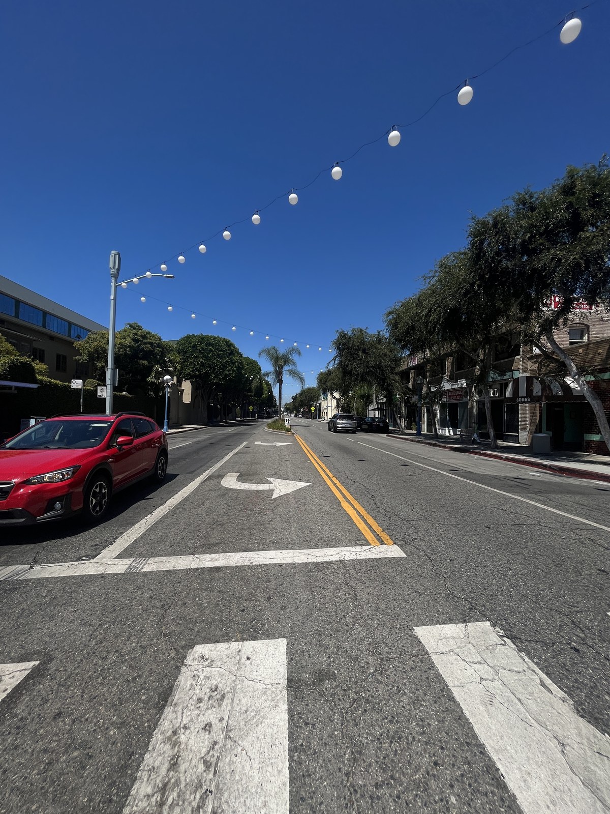 Santa Monica Boulevard in West Hollywood in daylight, with palm trees and storefronts