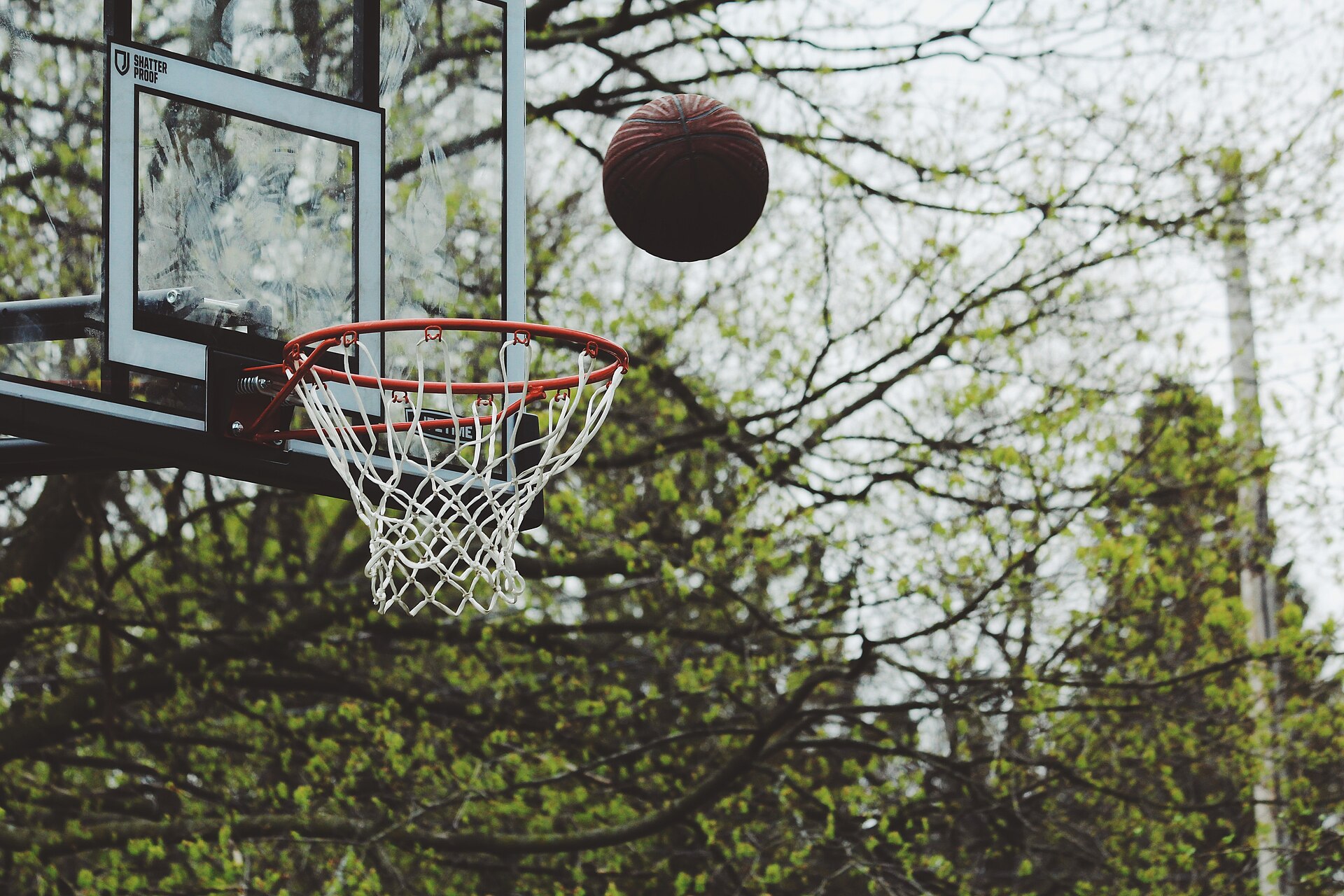 A basketball arena during a game (file photo)