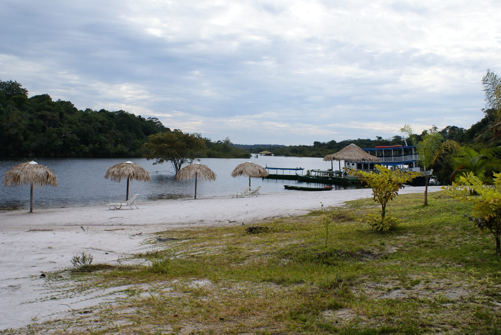 The Amazon rainforest near Manaus, Brazil