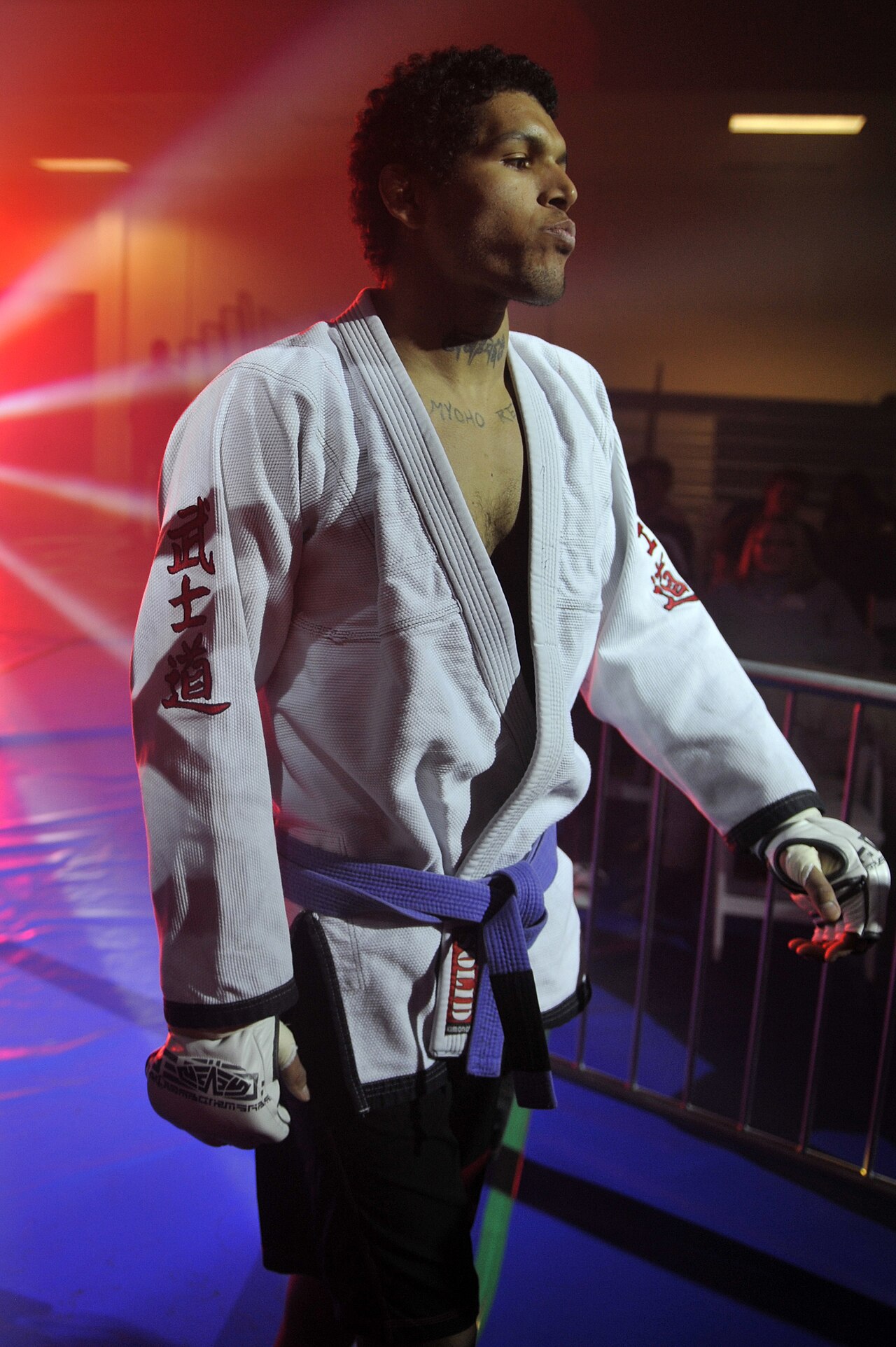 MMA action inside the cage (file photo)