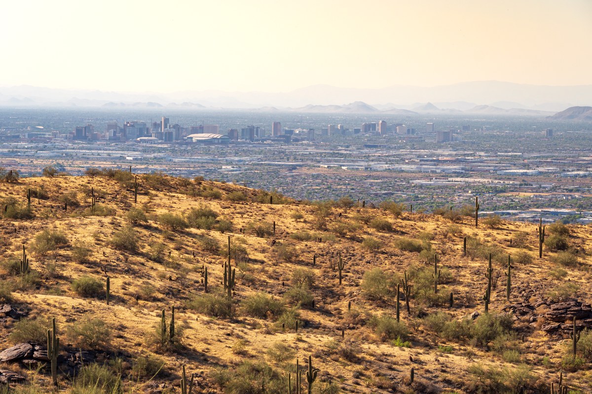 Hikers on a South Mountain desert trail with saguaros in bright daylight