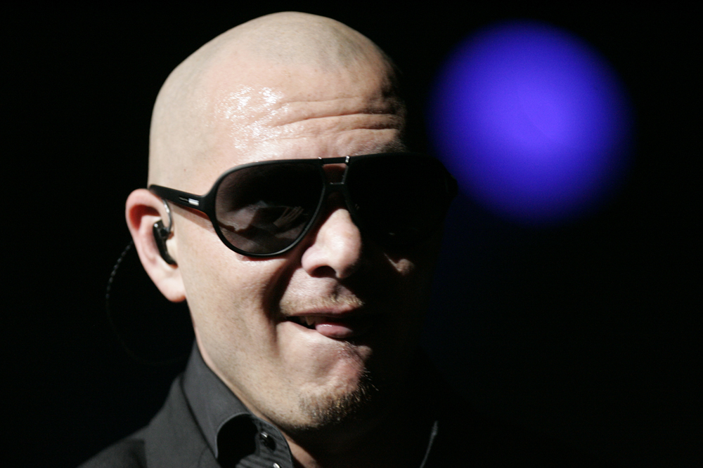 Pitbull (file photo)