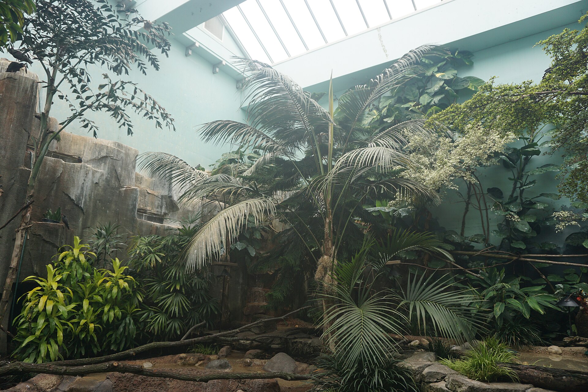 A bird in a bright aviary enclosure (file photo)